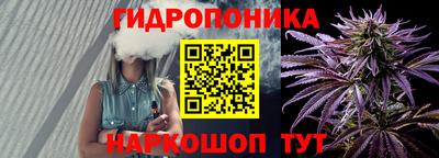 эйфоретик Кимры