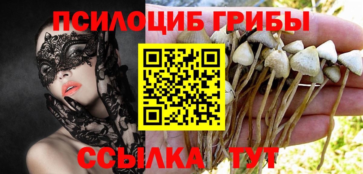 Псилоцибиновые грибы мухоморы  Вход с VPN  купить закладку  Красноармейск 